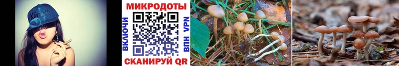 Псилоцибиновые грибы ЛСД  Шумерля 