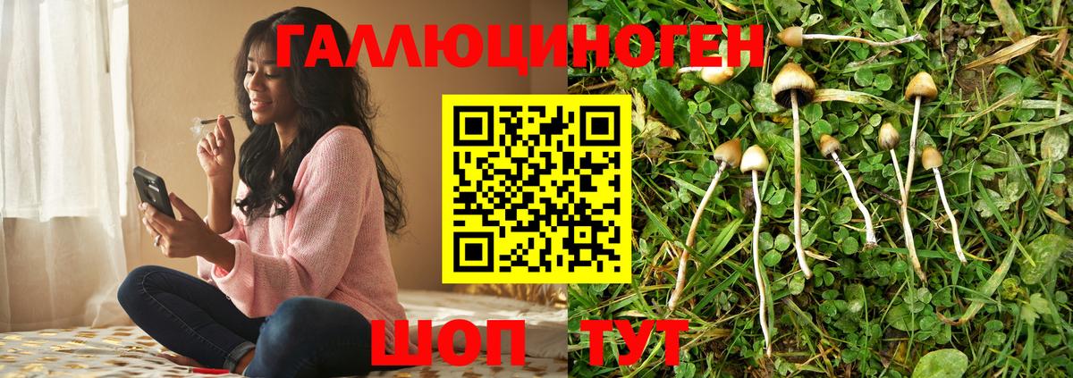 Галлюциногенные грибы мицелий  Псилоцибиновые грибы прущие грибы  Шумерля  Вход с VPN 