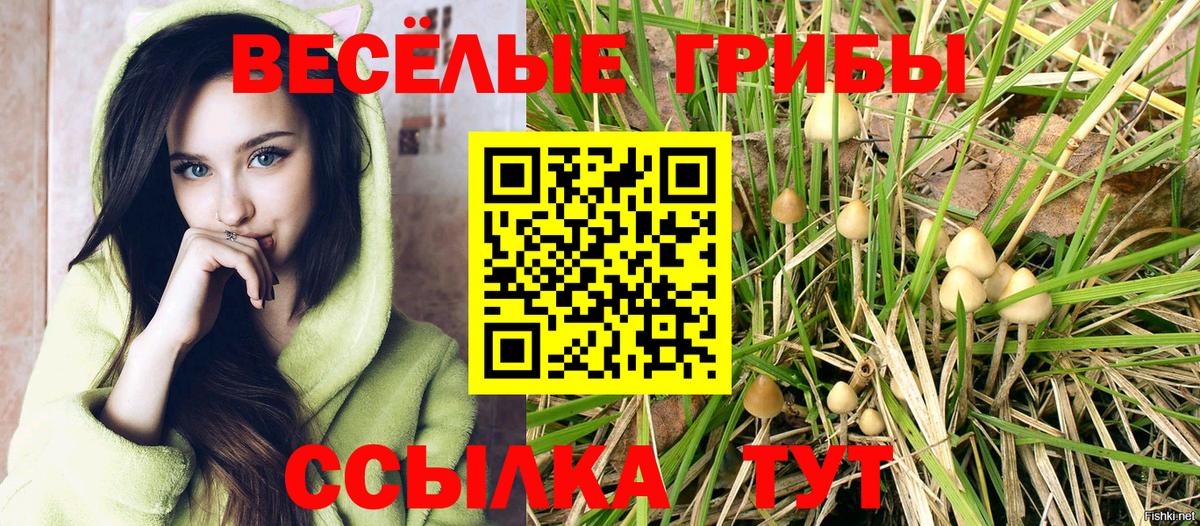 Псилоцибиновые грибы прущие грибы Шумерля